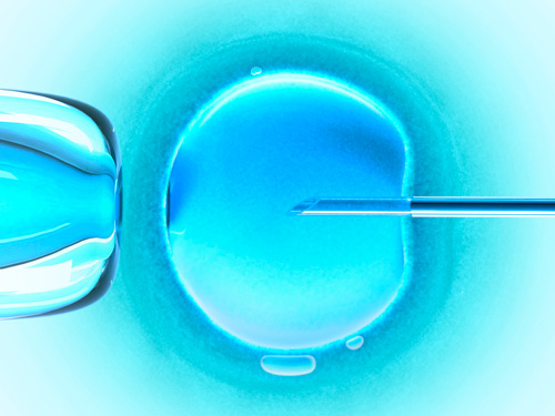 Fecundación In Vitro en Clínica JOFREFIV