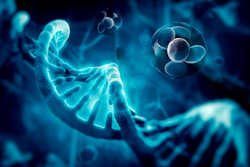 Preimplantation Genetic Screening (PGS) Clínica JOFREFIV